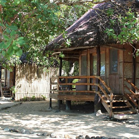 Cashew Grove Beach Resort Busuanga Eksteriør bilde
