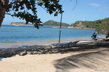 Cashew Grove Beach Resort Busuanga Eksteriør bilde