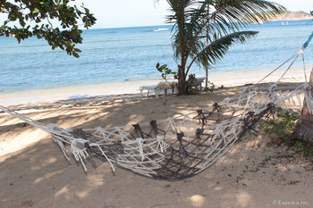 Cashew Grove Beach Resort Busuanga Eksteriør bilde