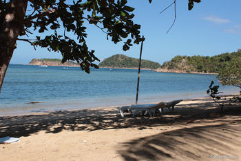 Cashew Grove Beach Resort Busuanga Eksteriør bilde